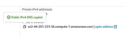 public dns