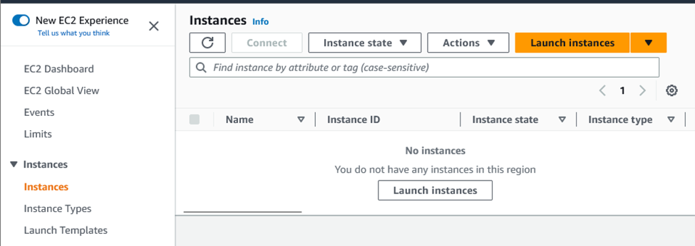 launch instance