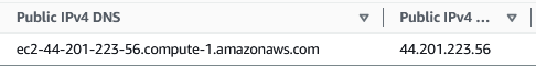 public dns